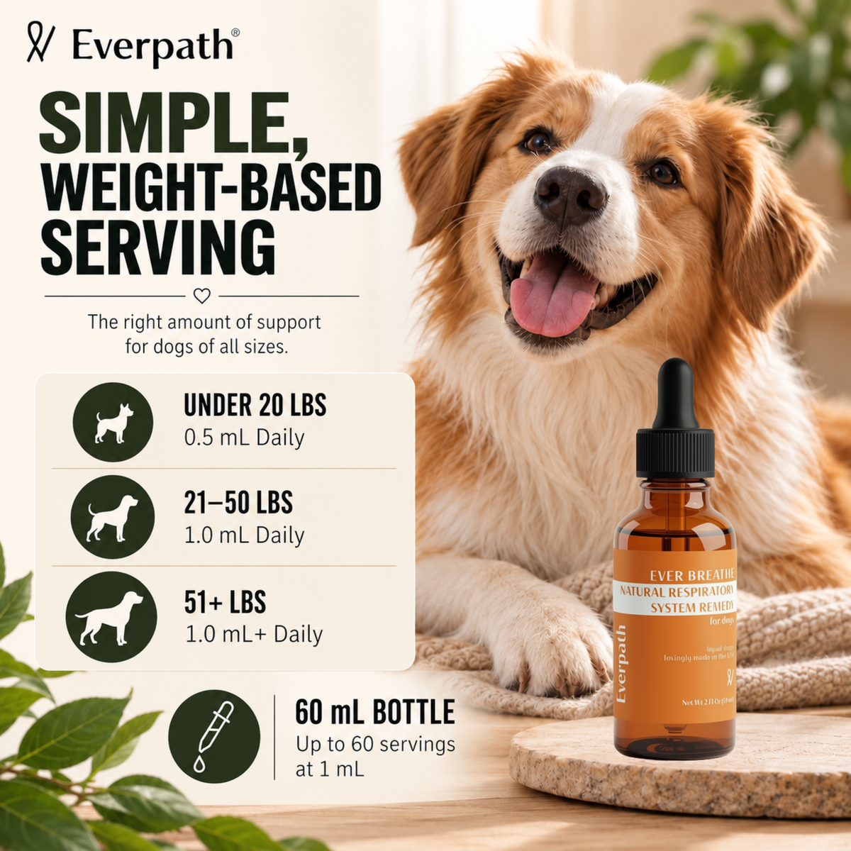 Respiratory Support for Dogs - 2 fl oz (60 mL)
