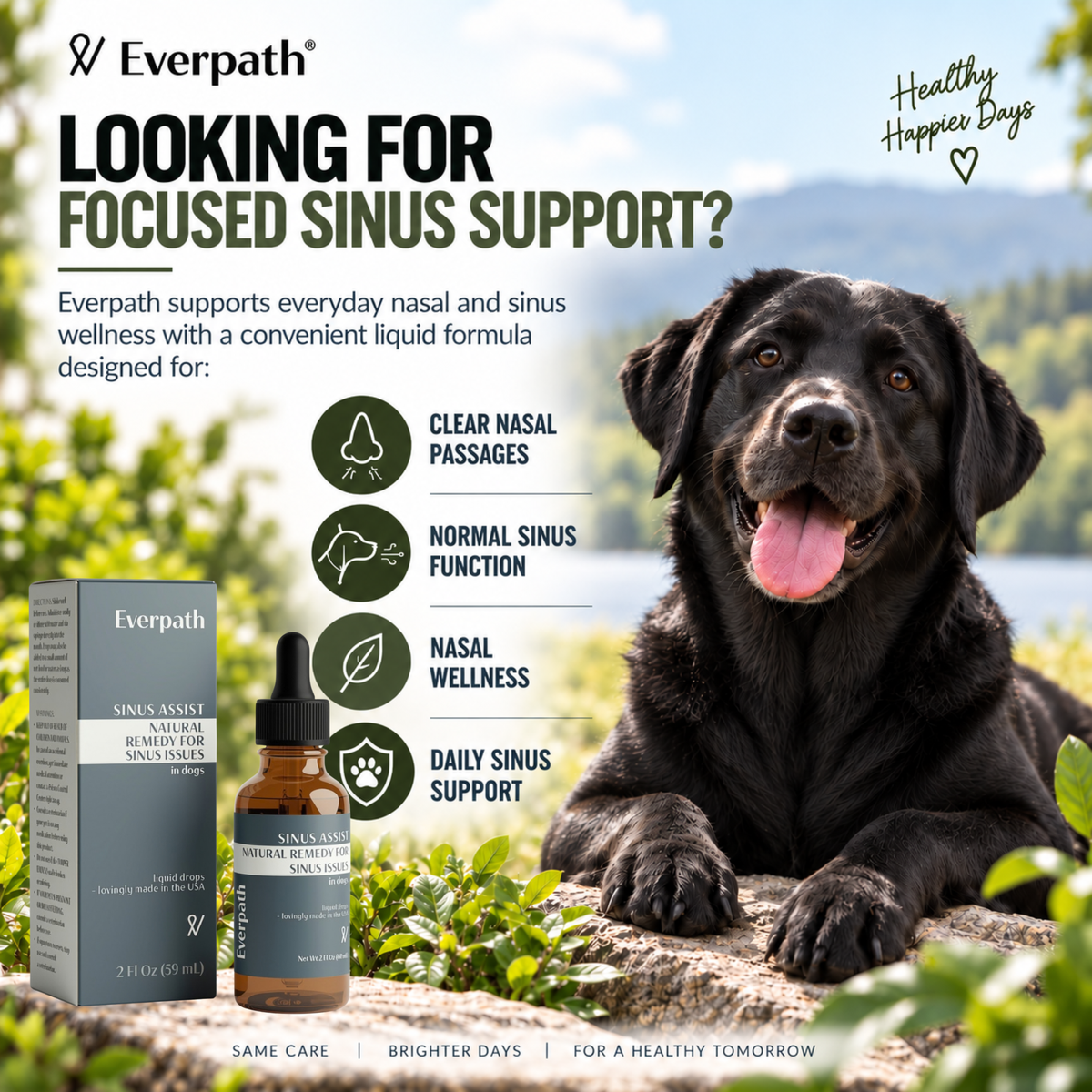 Sinus Support for Dogs - 2 fl oz (60 mL)