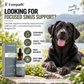 Sinus Support for Dogs - 2 fl oz (60 mL)