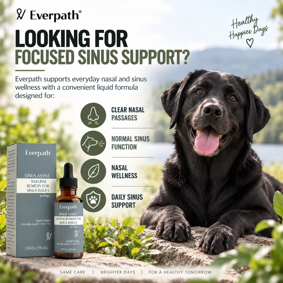 Sinus Support for Dogs - 2 fl oz (60 mL)